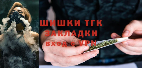 apvp Богородск
