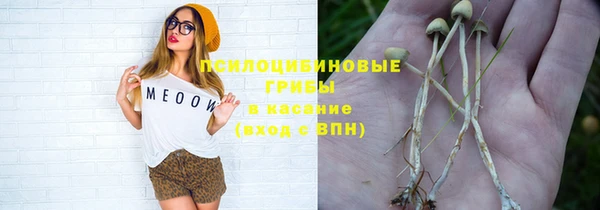 apvp Богородск