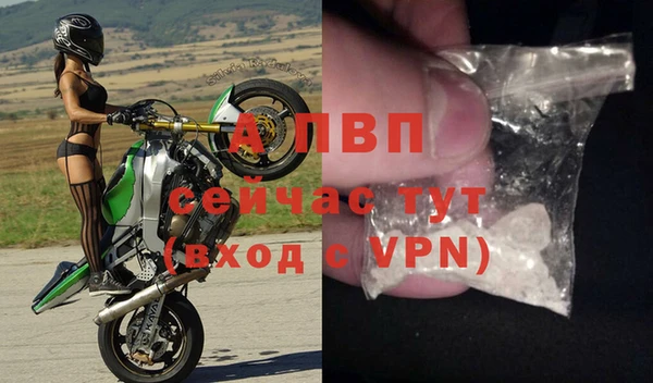 стаф Беломорск